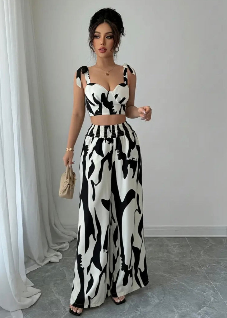 Conjunto Cebra